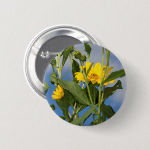Sonnenblumen in Iowa-Foto Button