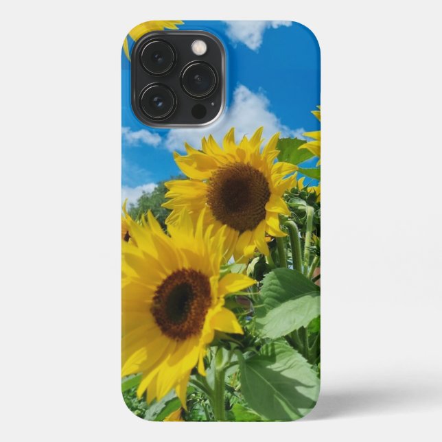 Sonnenblumen iPhone 13 Pro Max Hülle (Rückseite)