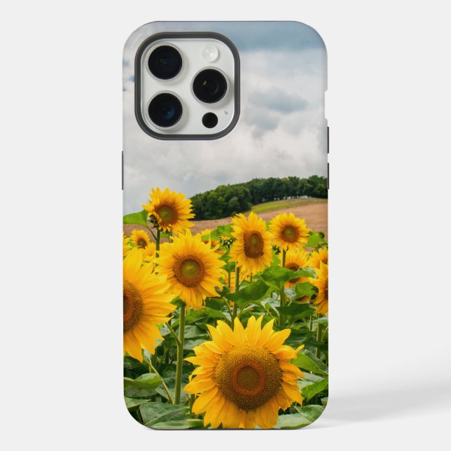 Sonnenblumen iPhone 15 Pro Max Hülle (Rückseite)