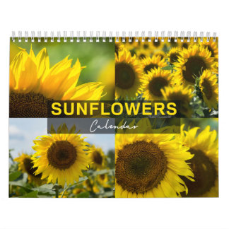 Sonnenblumen-Kalender - Fotosammlung Kalender