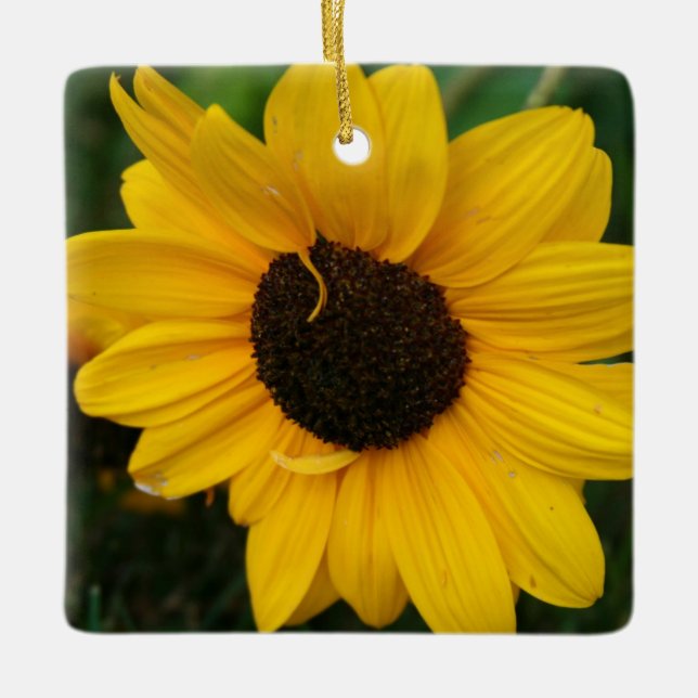 Sonnenblumen Keramikornament (Vorderseite)