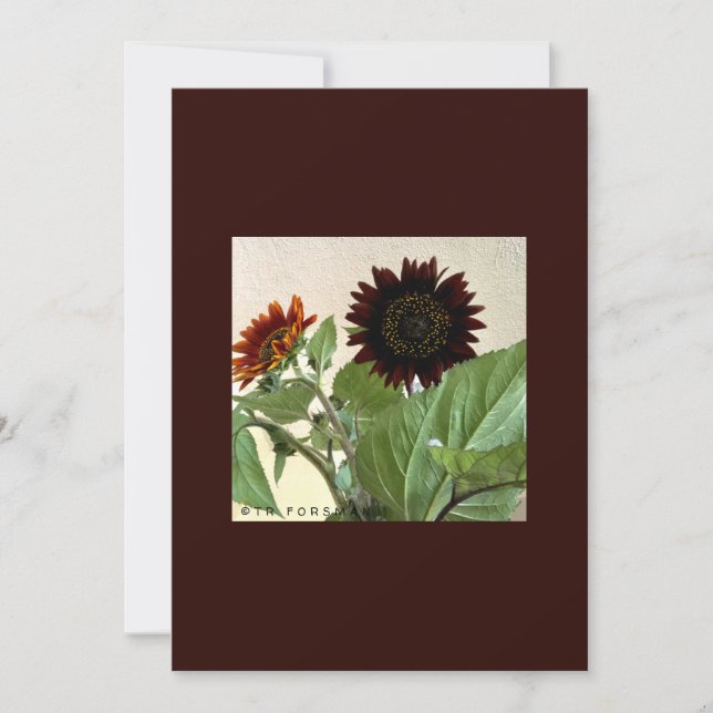 Sonnenblumen kleine Karte für handgeschriebene (Vorderseite)