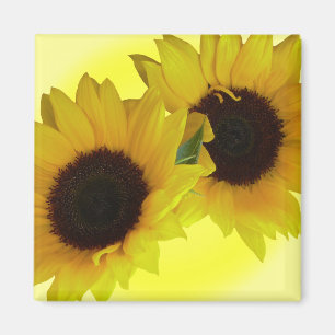 Sonnenblumen Kühlschrankmagnet Gefallen Blume Gesc