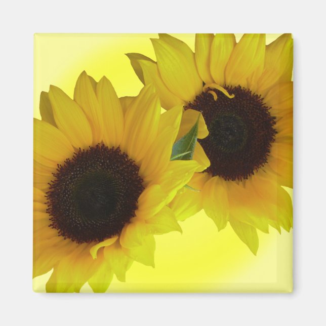 Sonnenblumen Kühlschrankmagnet Gefallen Blume Gesc (Vorne)
