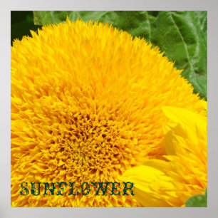 Sonnenblumen-Kunstposter Dekorative Florale Blumen Poster
