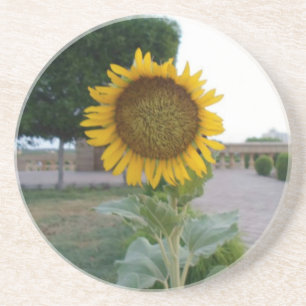 Sonnenblumen-Kunstposter Getränkeuntersetzer