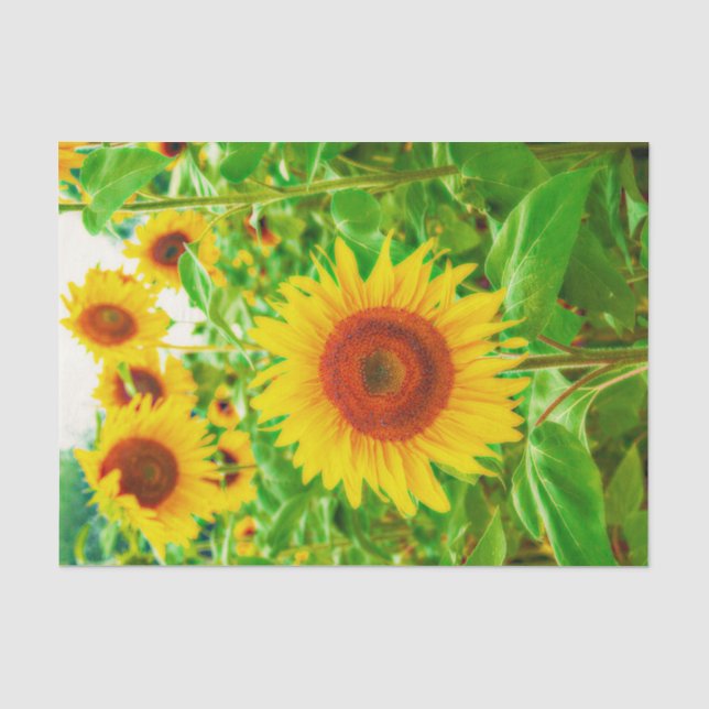 Sonnenblumen Land Gelb grüne Blütendekoupage Seidenpapier (Vorderseite)