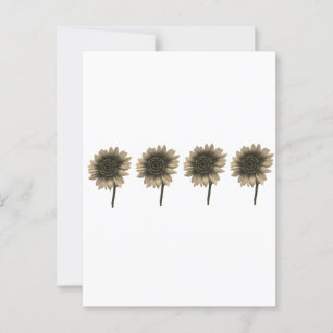 Sonnenblumen, leben, lachen, Liebe Postkarte