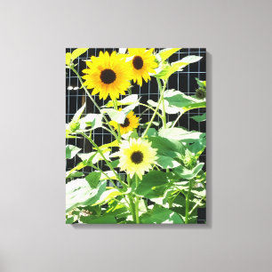 Sonnenblumen Leinwanddruck