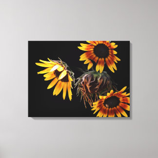 Sonnenblumen-Leinwanddruck gespannt Leinwanddruck