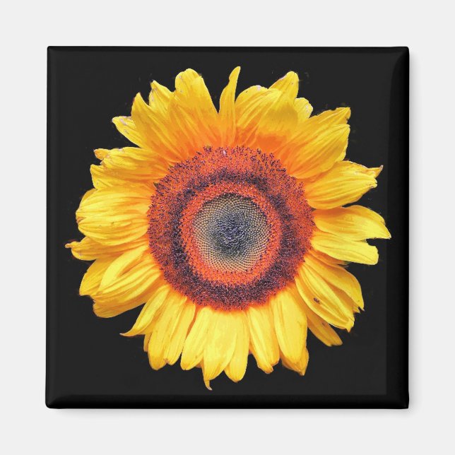 SONNENBLUMEN MAGNET (Vorne)