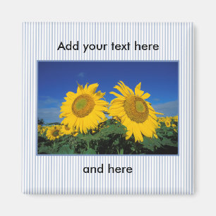 Sonnenblumen Magnet