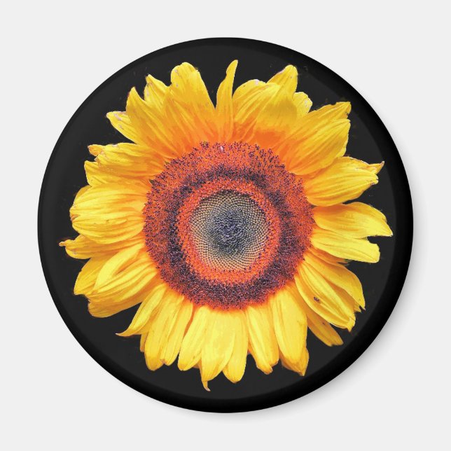SONNENBLUMEN MAGNET (Vorne)