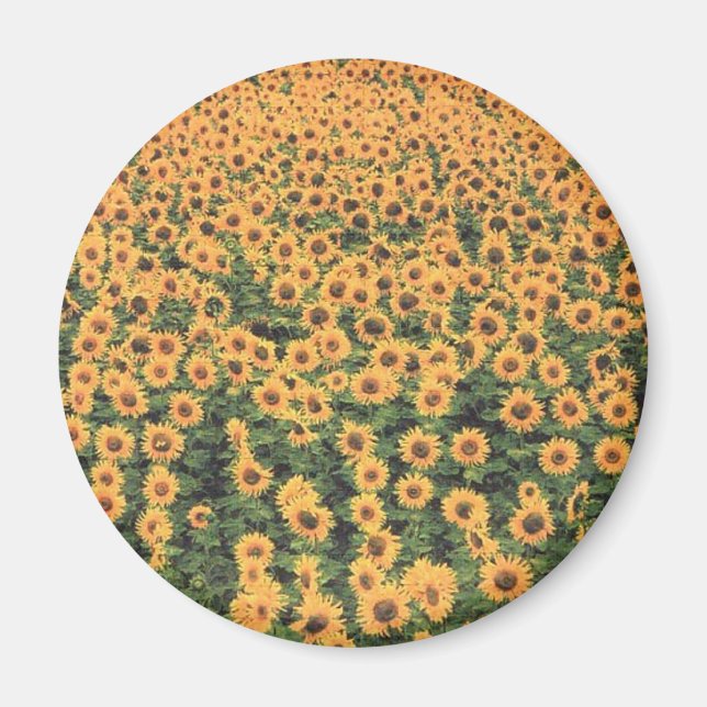 Sonnenblumen Magnet (Vorne)