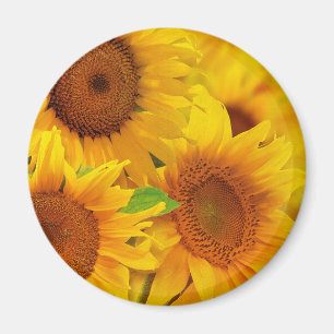 Sonnenblumen Magnet