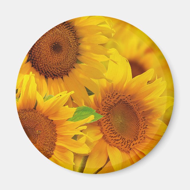 Sonnenblumen Magnet (Vorne)