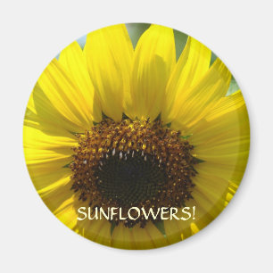 SONNENBLUMEN MAGNETE Bürogeschenke Sonnenblumen Ma Magnet