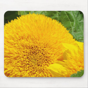 Sonnenblumen-Mauspad-Geschenke Große Gelbe Sonnenb Mousepad