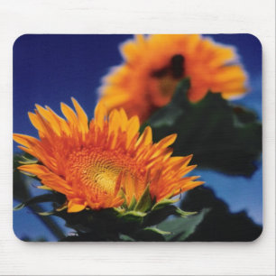 Sonnenblumen Mousepad