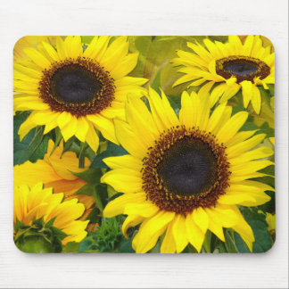 Sonnenblumen Mousepad