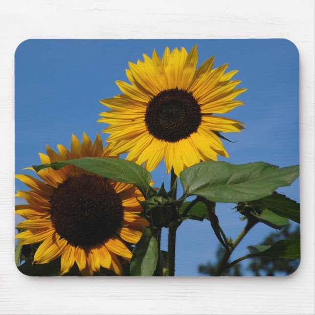 Sonnenblumen Mousepad (Vorne)