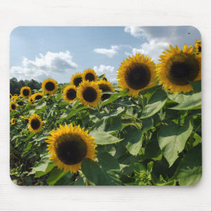 Sonnenblumen Mousepad