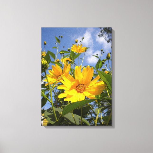 Sonnenblumen N Sky Wrapped Canvas Leinwanddruck (Vorderseite)