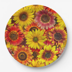 Sonnenblumen Nahtloses Muster Pappteller