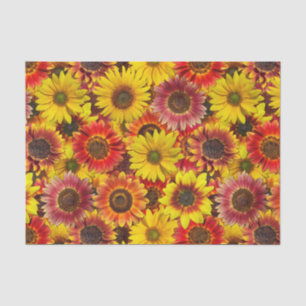 Sonnenblumen Nahtloses Muster Seidenpapier