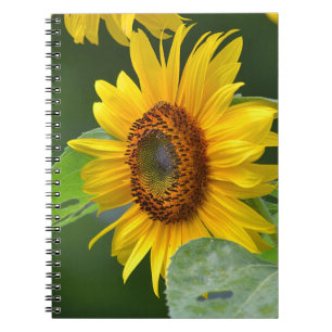 Sonnenblumen-Notebook Notizblock