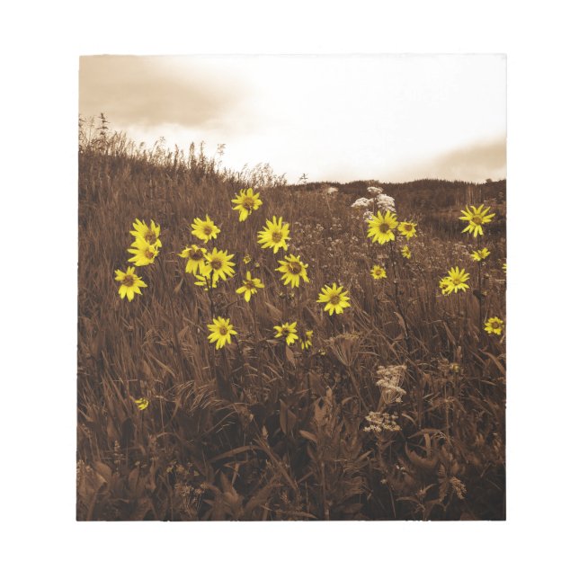Sonnenblumen Notizblock (Vorderseite)