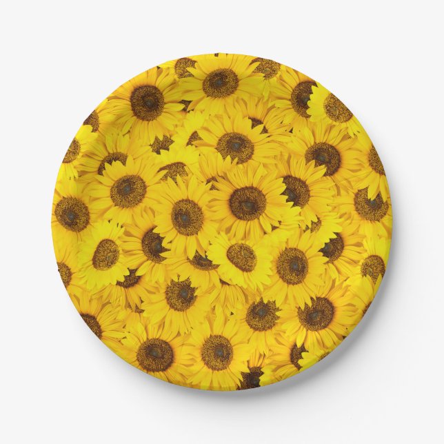 Sonnenblumen Pappteller (Vorderseite)