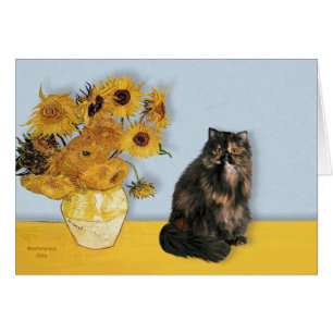 Sonnenblumen - Perserkatze Calico