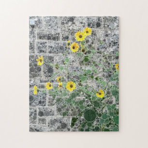 Sonnenblumen PHL Rowhouse Stone Grau Foto Art