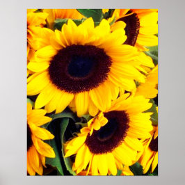 Sonnenblumen Poster