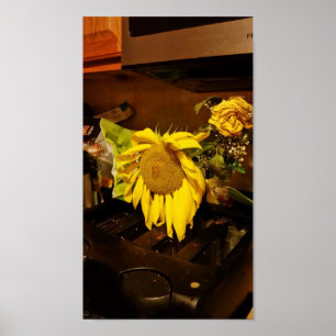 Sonnenblumen Poster