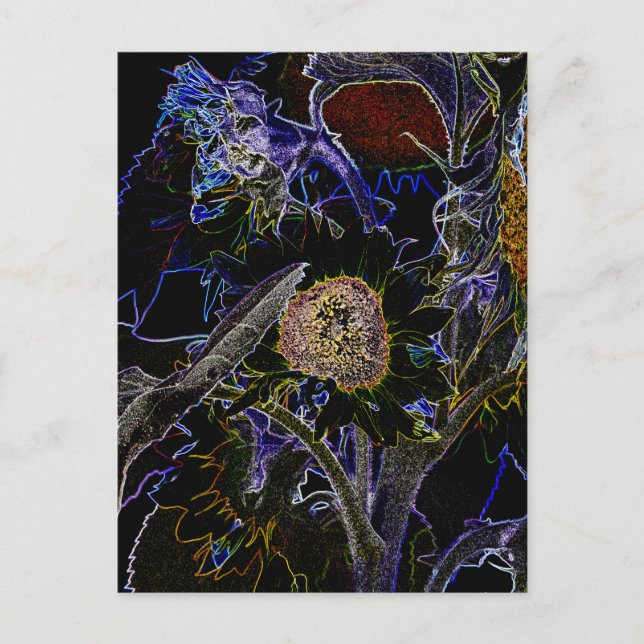 SONNENBLUMEN POSTKARTE (Vorderseite)