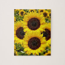 Sonnenblumen-Puzzles