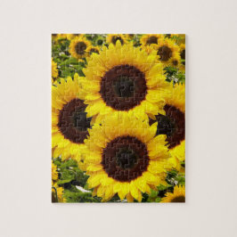 Sonnenblumen-Puzzles
