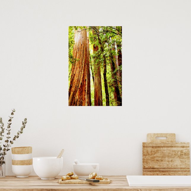 Sonnenblumen-Redwood-Poster (Glossy) Poster (Küche)