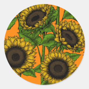 Sonnenblumen Runder Aufkleber