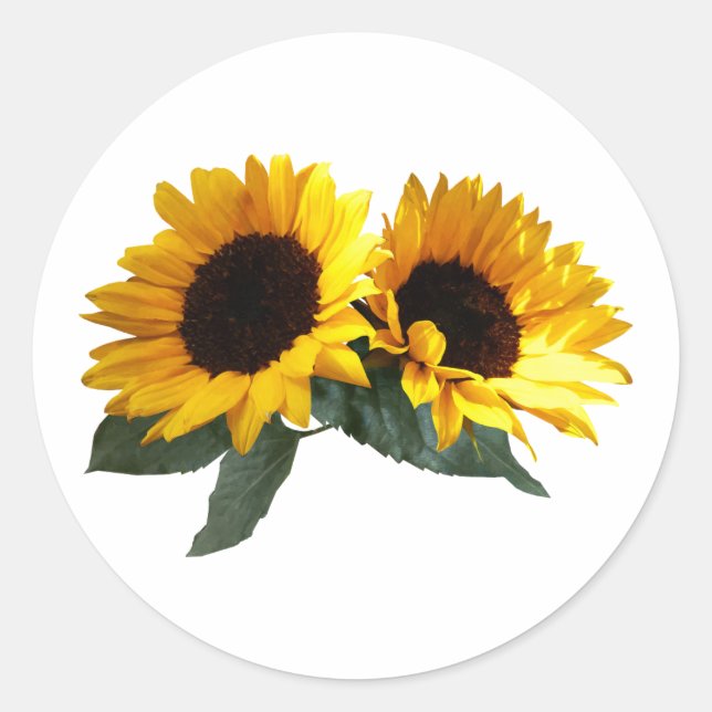 Sonnenblumen Runder Aufkleber (Vorderseite)