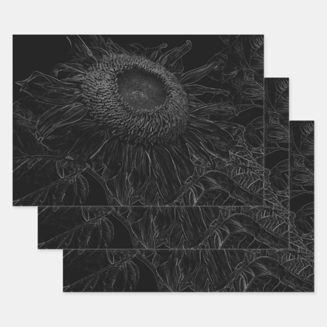 Sonnenblumen Schwarz-Weiß-Blumen Art Dekor Geschenkpapier Set (Set)
