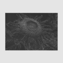 Sonnenblumen Schwarz-Weiß-Blumen Art Dekor