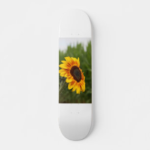Sonnenblumen-Skateboard Skateboard