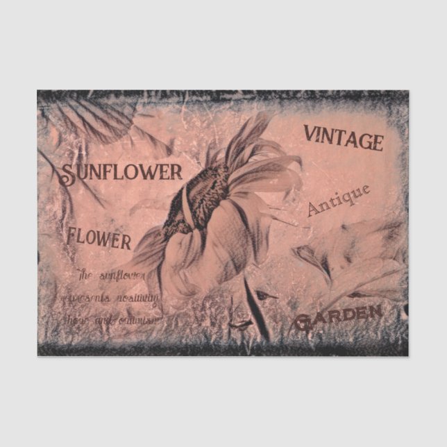 Sonnenblumen Sketch Sepia Vintag Antique Ephemera Seidenpapier (Vorderseite)