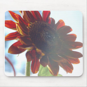 Sonnenblumen Sommer Mousepad