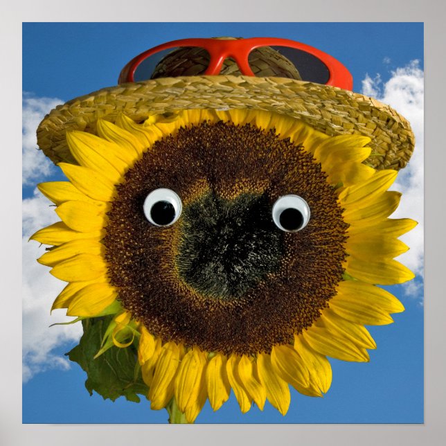 Sonnenblumen Sommerspass Poster (Vorne)