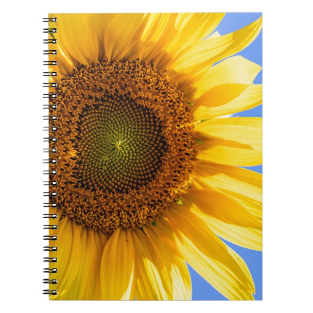 Sonnenblumen-SpiralNotebook Notizblock (Vorderseite)
