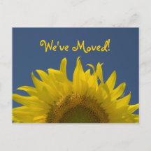 Sonnenblumen steigende Adressenänderung
